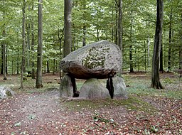 Stensättning i Klosterris Hegn.