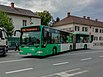 Graz Linien Wagen 170 in der Fliedergasse.jpg