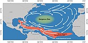 Thumbnail for Great Atlantic Sargassum Belt