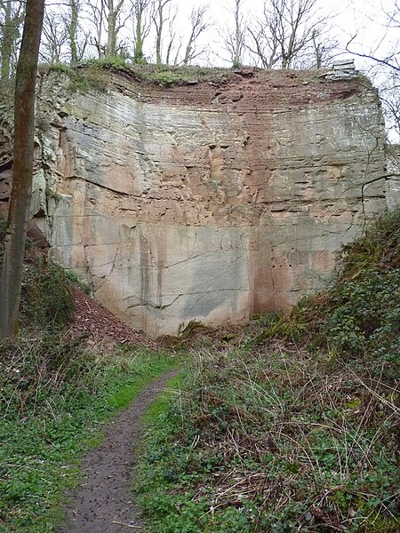 File:Grinshill quarries - a former face - geograph.org.uk - 2894173.jpg