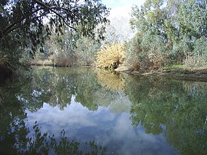 Guadiamar near Sanlúcar la Mayor