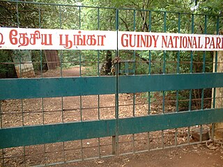 <span class="mw-page-title-main">Guindy National Park</span> National park in Tamil Nadu, India