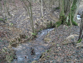 The Haßbach southeast of Röhrig