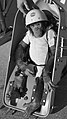 Ham the Chimp, first higher primate in space, 1961