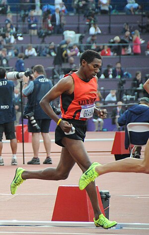 Hayle Ibrahimov at London 2012.JPG