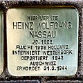 image=https://commons.wikimedia.org/wiki/File:Heinz_Wolfgang_Nassau.jpg