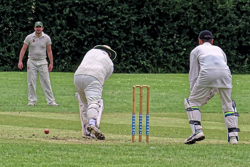 File:Highgate Irregulars CC v Bohemians CC at Mill Hill, London England 19.jpg