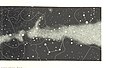 Image taken from page 53 of 'L'Espace céleste et la nature tropicale, description physique de l'univers ... préface de M. Babinet, dessins de Yan' Dargent' (11241855653).jpg
