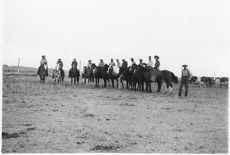 File:Indian cowboys working cattle - NARA - 285307.jpg