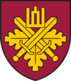 Insignia of the National Defence Volunteer Forces (Lithuania).png