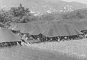 南朝鮮の日本人引き揚げ者収容キャンプ（1946年・月不明）