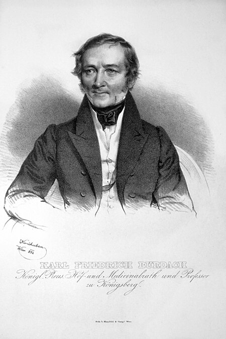 Karl_Friedrich_Burdach