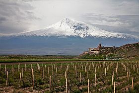 Velký Ararat (pohled z Arménie)