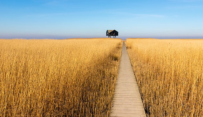 Der Weg zum Kiekkaaste in Nieuwe Statenzijl, Niederlande