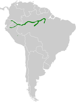 Distribución geográfica de la viudita ribereña del Amazonas.