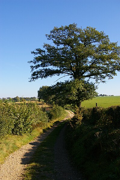 File:Krijtlandpad near Noorbeek.jpg