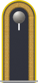 Distintivo di grado sulla spallina della giacca della tuta di servizio per chi indossa l'uniforme dell'aeronautica.