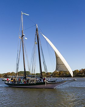 A Lady Maryland cikk illusztráló képe