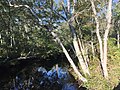 Thumbnail for Landing Creek (New Jersey)