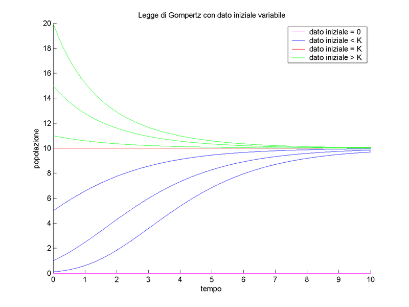 File:Legge di Gompertz.png