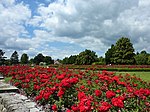 Rosengarten (Lidice)