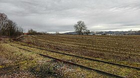 Image illustrative de l’article Ligne d'Altkirch à Ferrette