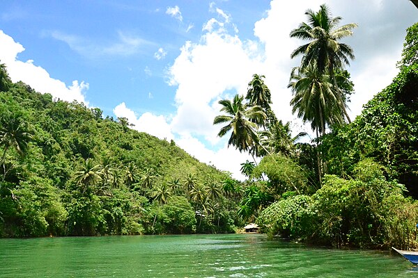 Image: Loboc River 01