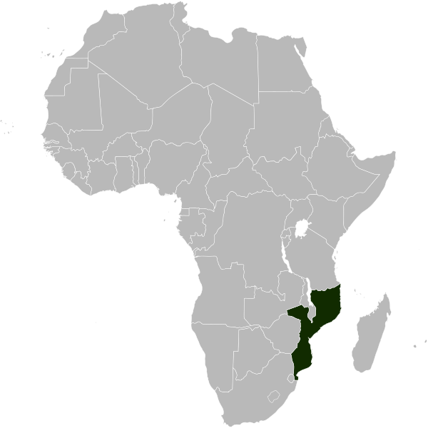 File:Locator map of Mozambique in Africa.svg