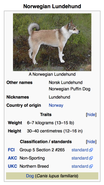 File:Lundehund.png