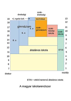 Szakközépiskolai szakok