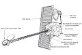 Miniatura della versione delle 17:43, 14 lug 2017