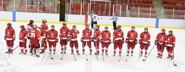 McGill Martlets lined up at centre ice in 2011