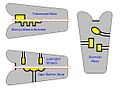 Vorschaubild der Version vom 03:15, 25. Aug. 2011