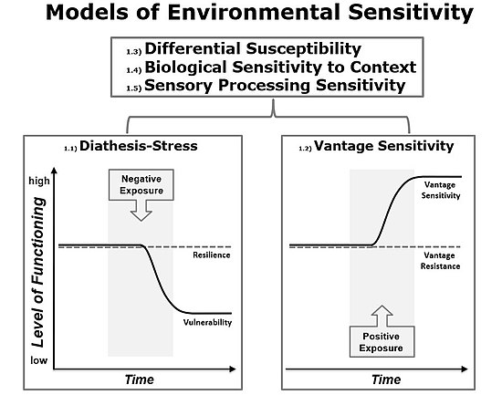 Figure 1. Illustration of the different models describing individual differences in Environmental Sensitivity: Diathesis-Stress (1.1) describes variability in response to adverse exposures, and Vantage Sensitivity (1.2) variability in response to supportive exposures, whereas the remaining three models Differential Susceptibility (1.3), Biological Sensitivity to Context (1.4), and Sensory Processing Sensitivity (1.5) describe individual differences in response to both negative and positive experiences. Consequently, Models 1.3, 1.4, and 1.5 reflect the combination of Models 1.1 and 1.2. Models of Environmental Sensitivity.jpg