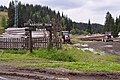 Čeština: Národní park Šumava?! English: National Park Šumava?!