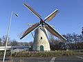 Windmill Zeezicht