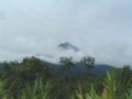 Vista del monte Camerun dalla strada di Kribi