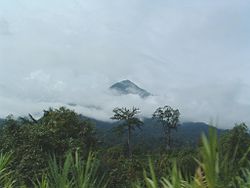 Le Mont Cameroun, point culminant d'Afrique centrale à 4 095 mètres d'altitude.