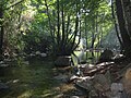 Miniatura para Río Tordera