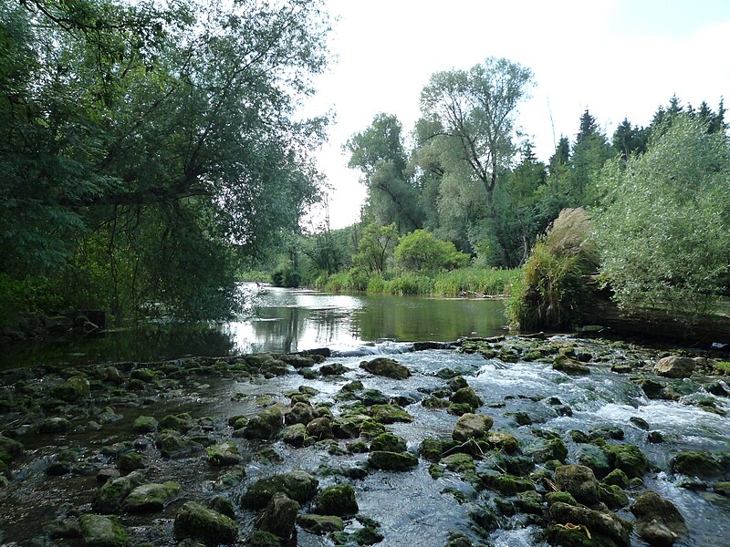 File:Moosach bei Oberhummel 4.JPG