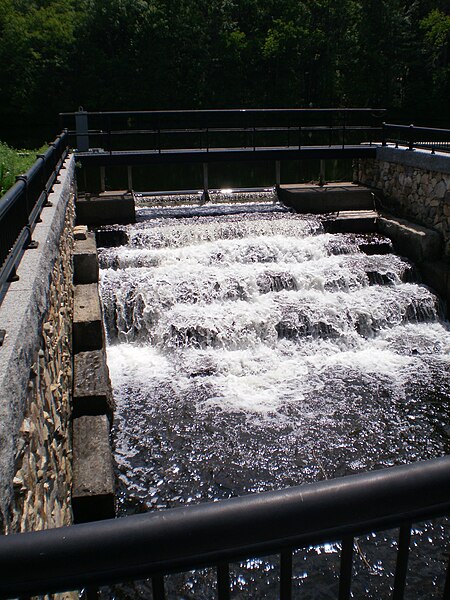 File:Morses Pond Culvert Site Visit - May 24, 2010 - Wellesley, Massachusetts (4639678320).jpg