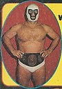 Mr Wrestling II - Wrestling Yearbook Magazine - Summer 1977.jpg