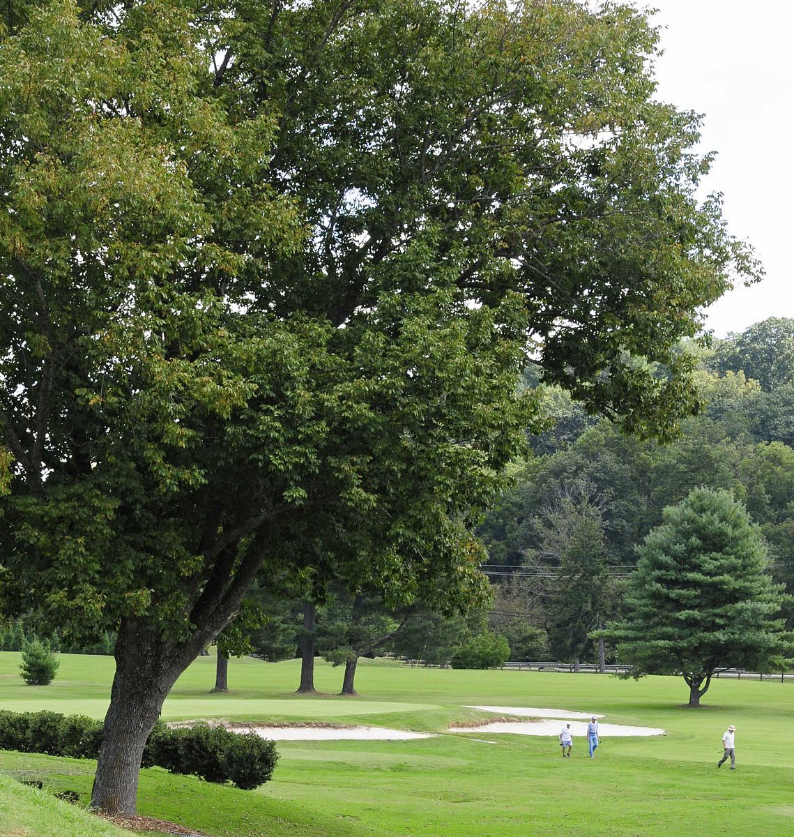 Municipal Golf Course