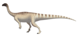 Mussaurus, a possible relative of DK966 Mussaurus patagonicus life restoration.png