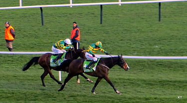 Jezki (right) wins the Champion Hurdle from My Tent Or Yours. My Tent Or Yours & Jezki.jpg