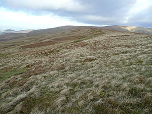 Mynydd Llysiau