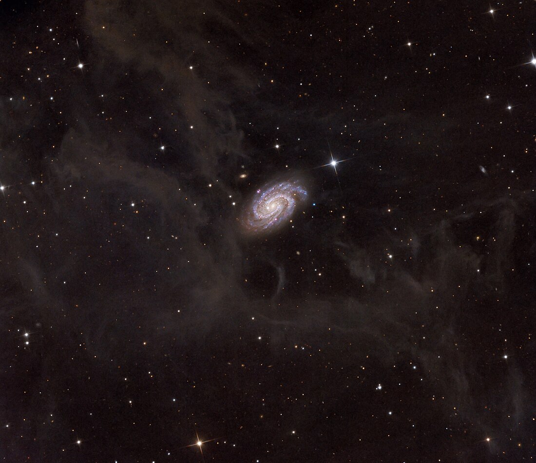 NGC 918