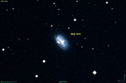NGC 1473 DSS.jpg