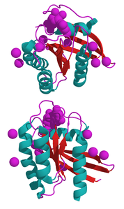 Das G-Protein Ras 178px-NRas_3CON