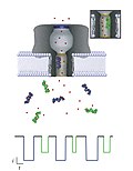 Thumbnail for Nanopore